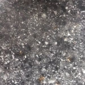 Meet your Posher, Alisha